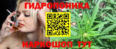 мяу мяу кристалл Малоярославец