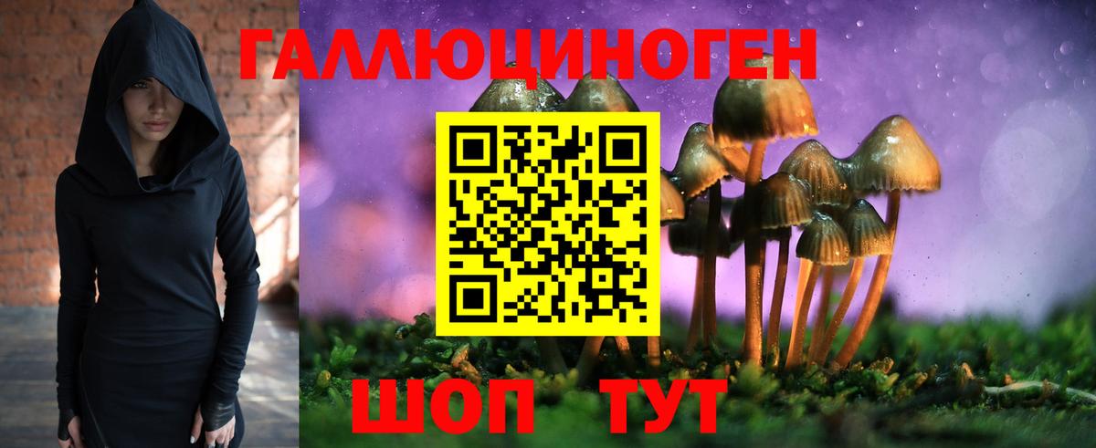 Шали  Галлюциногенные грибы Magic Shrooms  Вход с VPN 